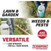 imageChapin 20003 Made in USA 3 Gallon Lawn and Garden Pump Pressured Sprayer for Spraying Plants Garden Watering Lawns Weeds and Pests Translucent White3Gallon